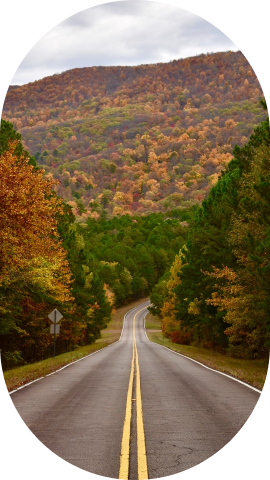 noruシェアのイメージ画像